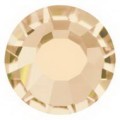YHB 12 Golden Shadow ss 12