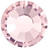 Blush Rose Blush Rose